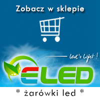 Żarówki LED